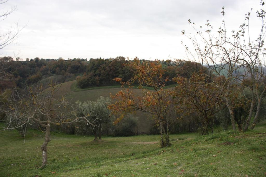 Villa La Casa Di Gio Torre A Castello Esterno foto