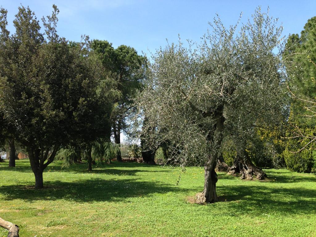 Villa La Casa Di Gio Torre A Castello Esterno foto